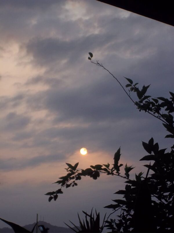 ✧ KODAK M530✧˖° ♡ - Image 8