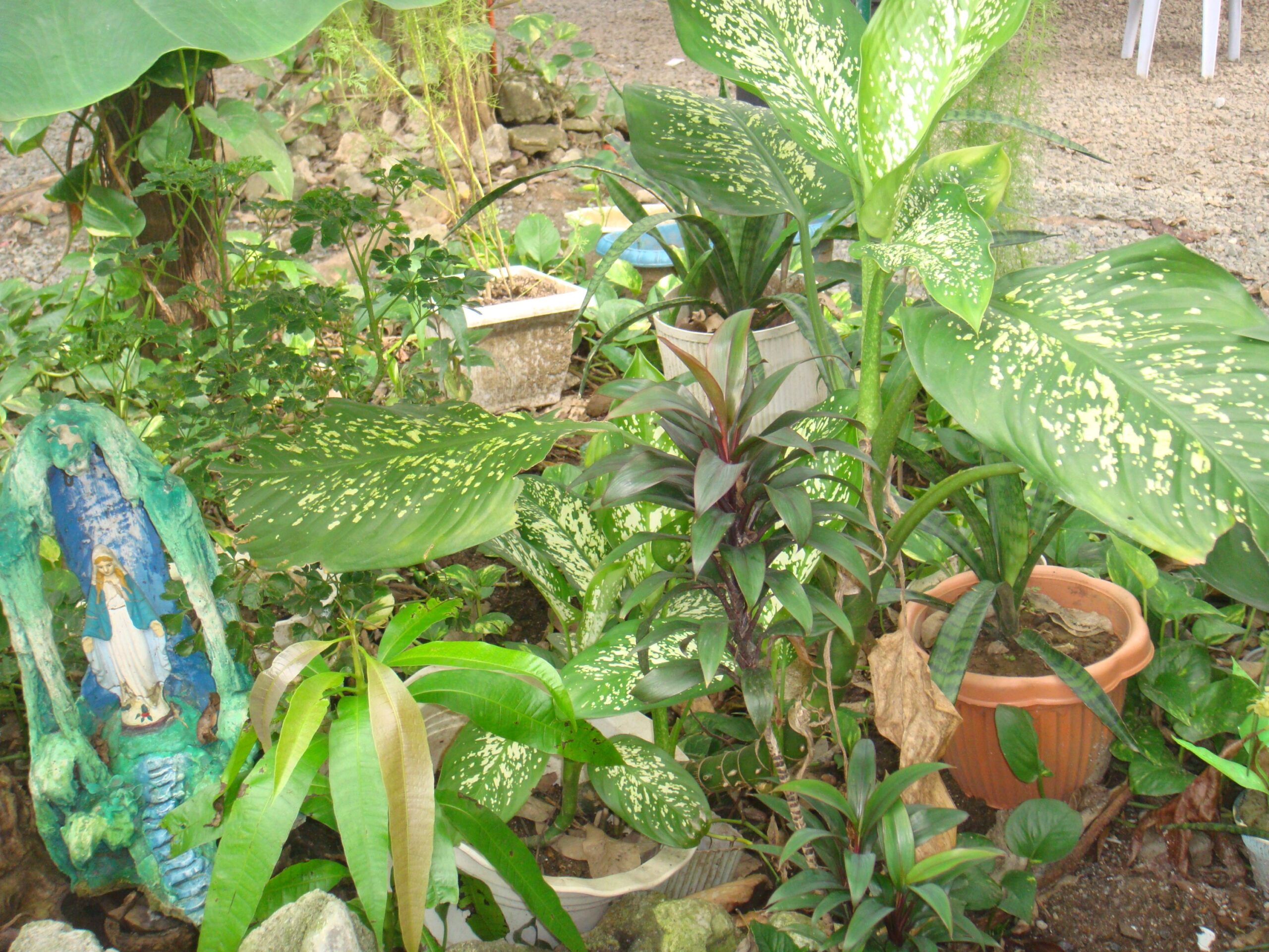 ✧ Sony Cyber-shot DSC-T77 ✧˖° ♡ - Image 8