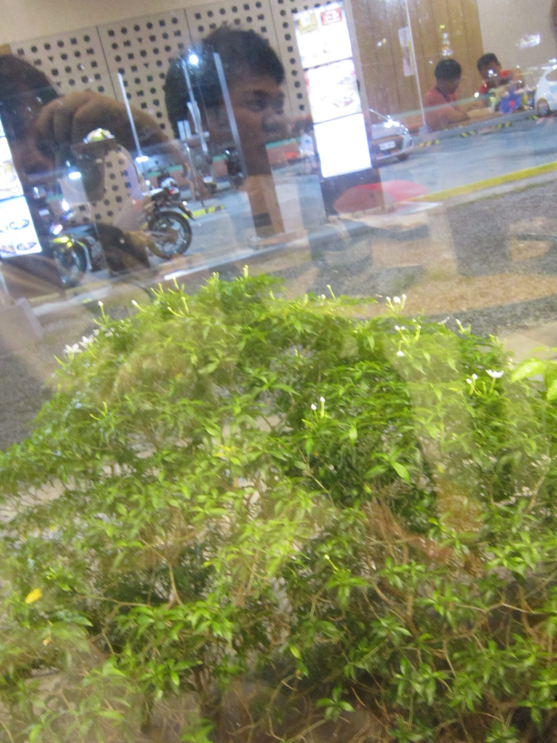 ✧ **Samsung ST150F ✧˖° ♡ - Image 7