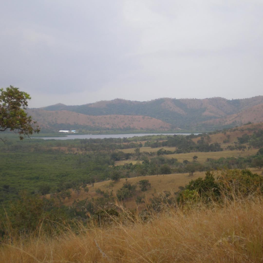 ✧ Olympus Stylus Tough 8010 ✧˖° ♡ - Image 5