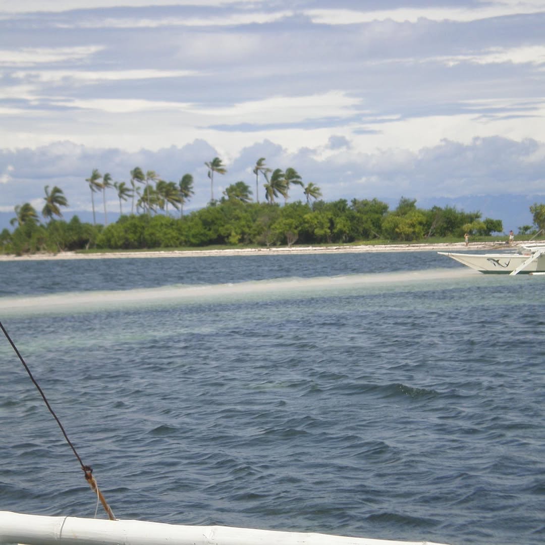 ✧ Olympus Stylus Tough 8010 ✧˖° ♡ - Image 6